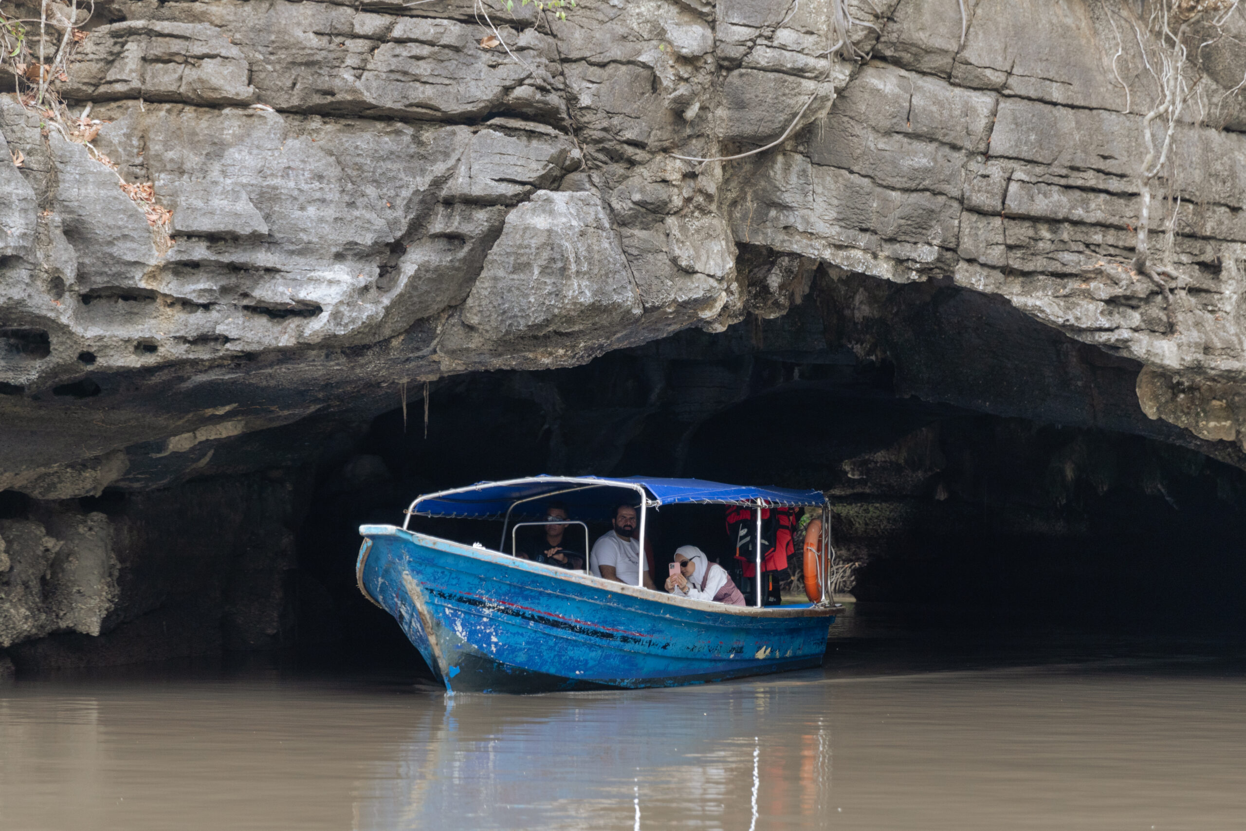 Langkawi Mangrove Boat Tour