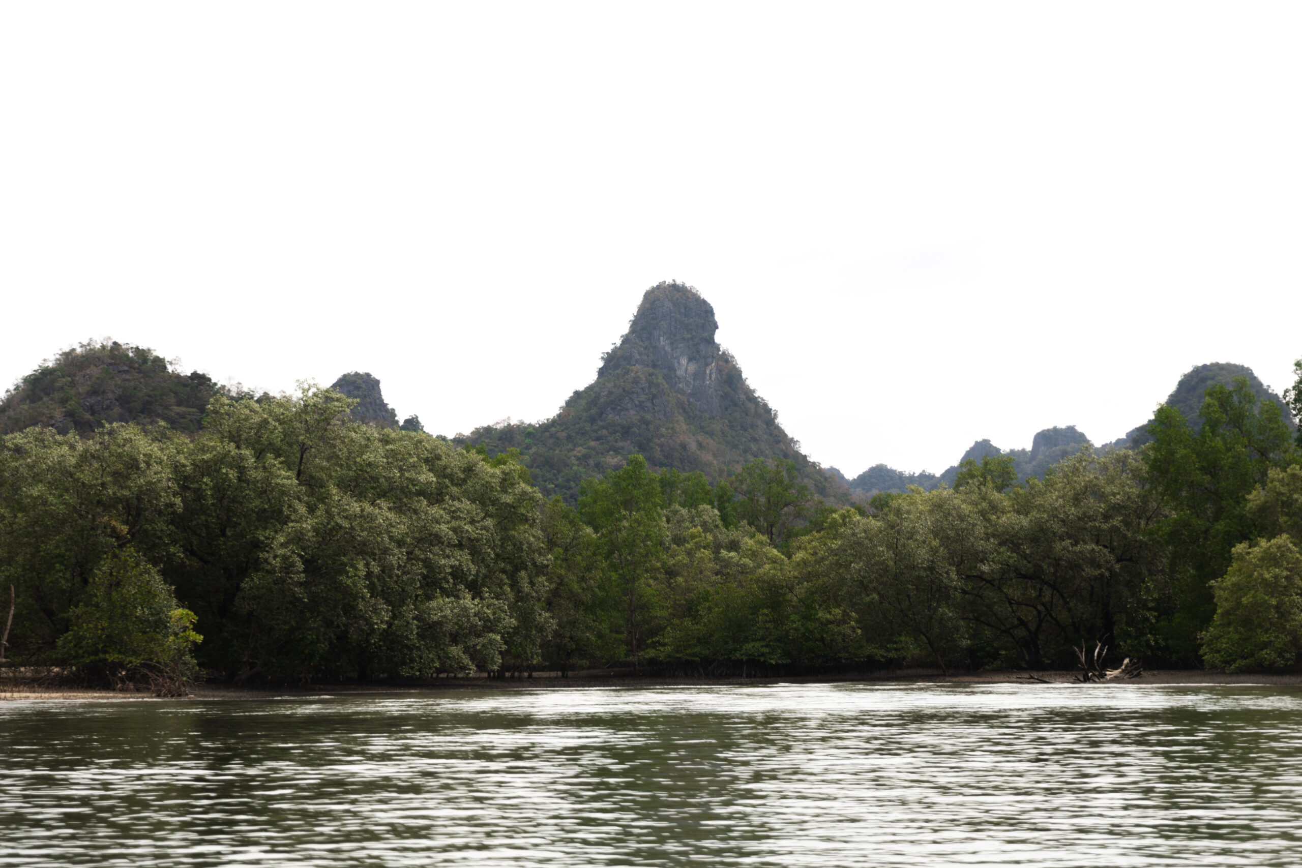 "Gorilla Mountain" Rock Formation