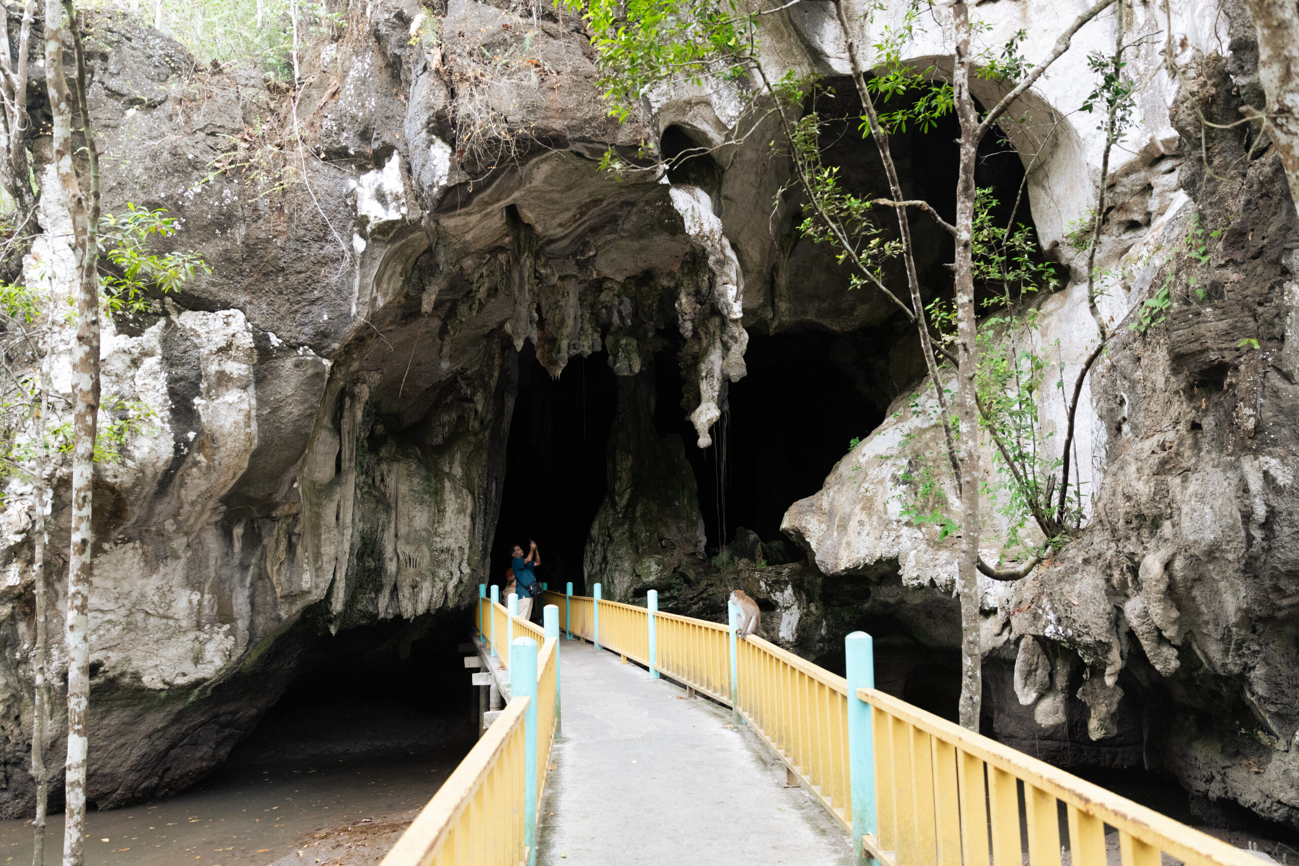 Bat Cave Boardwalk